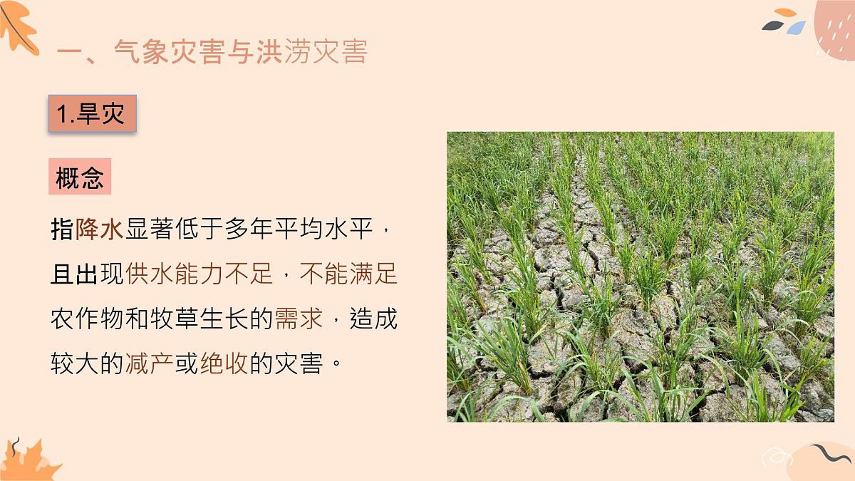 3.1.2常见自然灾害及其成因（教学课件）——高中地理中图版（2019）必修一第8页