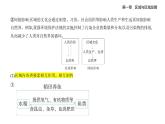 1.2區(qū)域整體性和關(guān)聯(lián)性知識(shí)點(diǎn)串講課件+分層訓(xùn)練-人教版高二上冊(cè)地理（選必二）