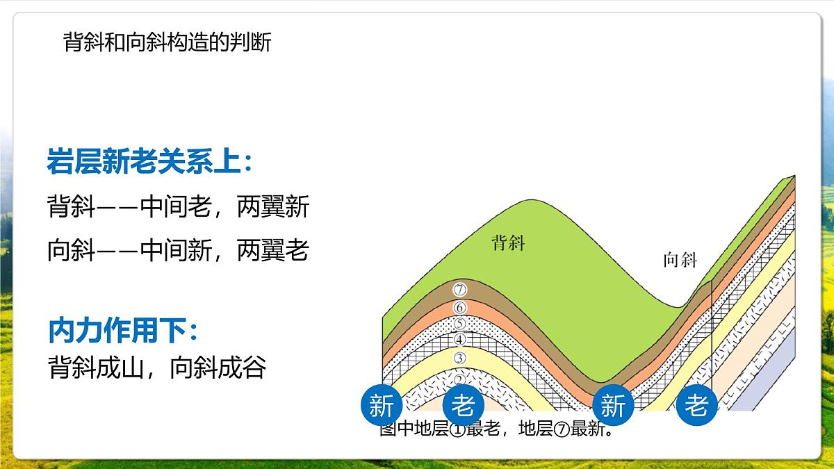 湘教版（2019）高中地理选择性必修一2.2.2《内力作用：地质构造与地表形态》（课件）第7页
