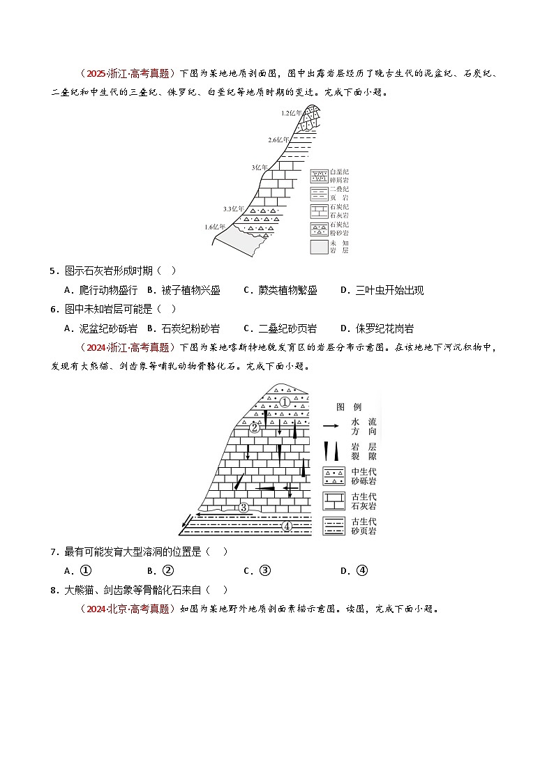 备战2026年高考精品试题汇编 地理 专题02 宇宙中的地（原卷版）第3页