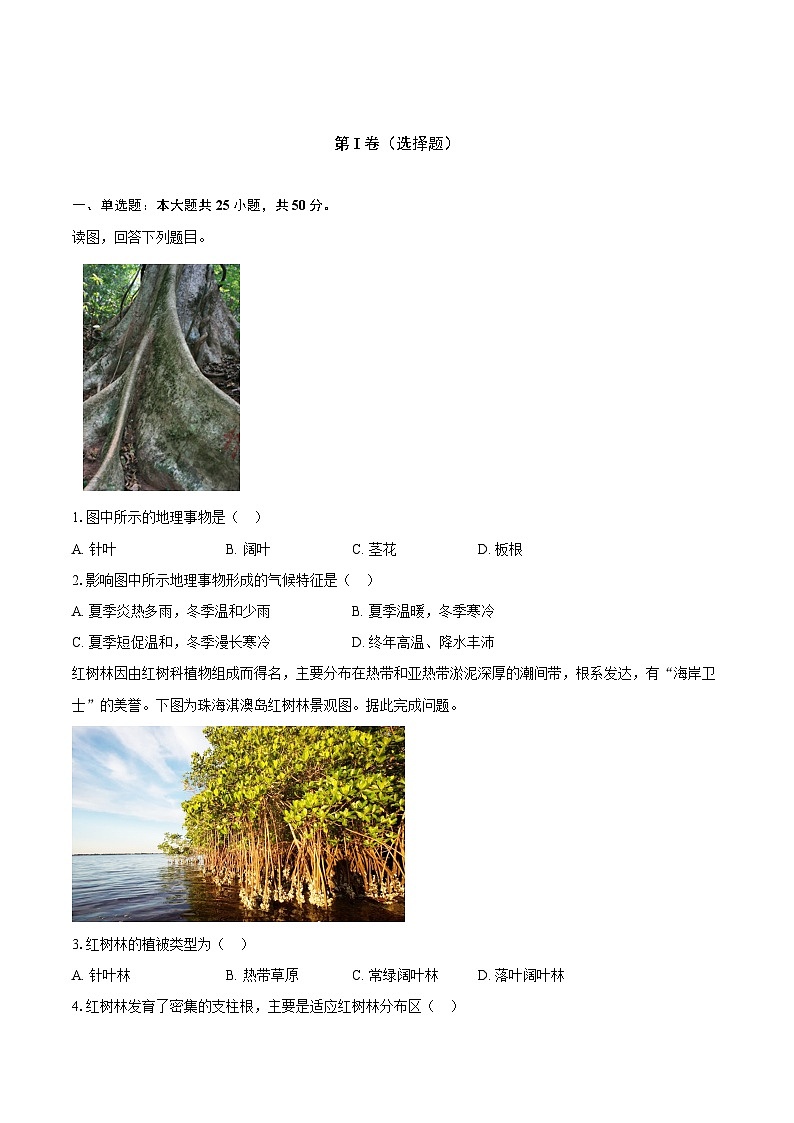 第五章第一节 植被 同步练习（含解析）人教版（2019）地理高中必修第一册第1页