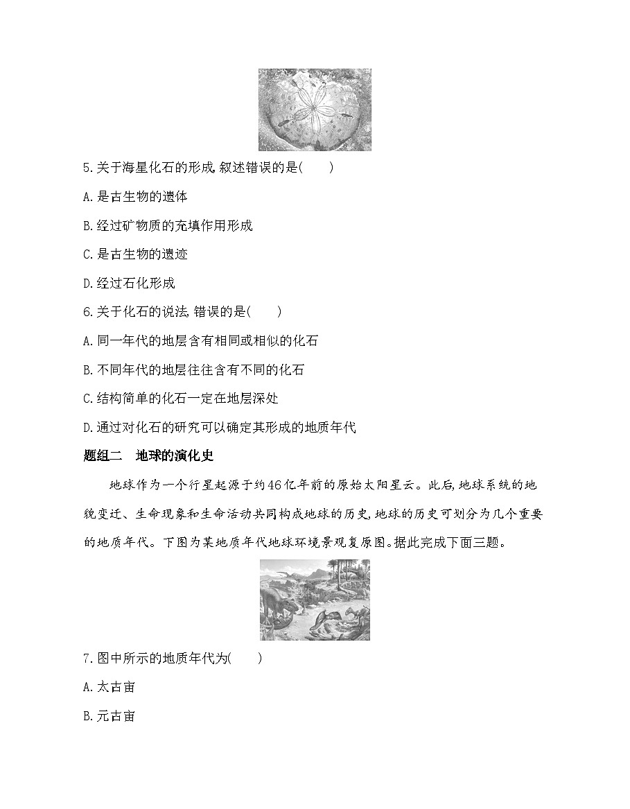 1.4地球的演化-分层训练（含答案解析）-湘教版高中地理高一上册（必修一）第2页