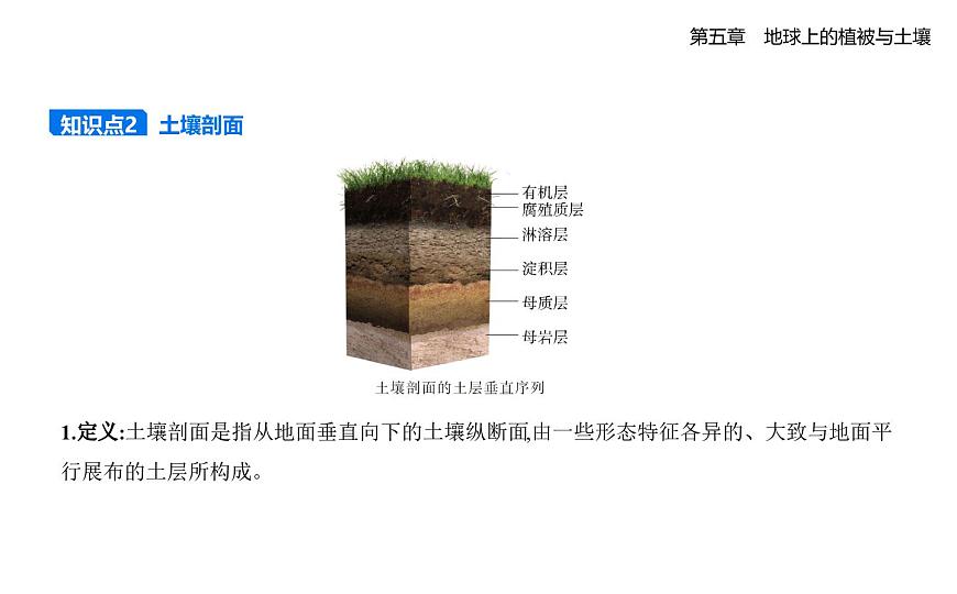 第二节　土壤的形成知识点串讲课件-湘教版高中地理高一上册（必修一）第4页