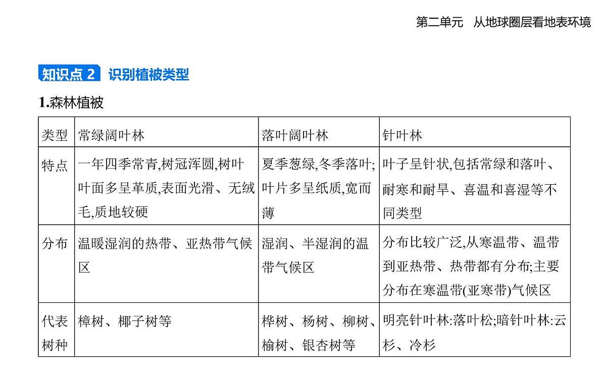 第三节　生物圈与植被知识点串讲课件-鲁教版高中地理高一上册（必修一）第2页
