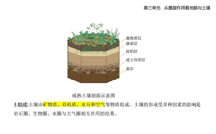 第四节　分析土壤形成的原因知识点串讲课件-鲁教版高中地理高一上册（必修一）第2页