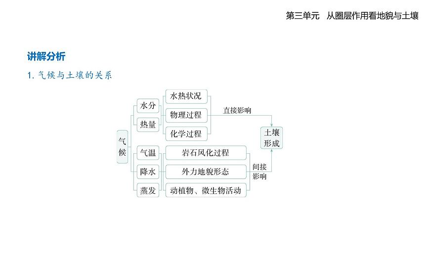 第四节　分析土壤形成的原因知识点串讲课件-鲁教版高中地理高一上册（必修一）第6页