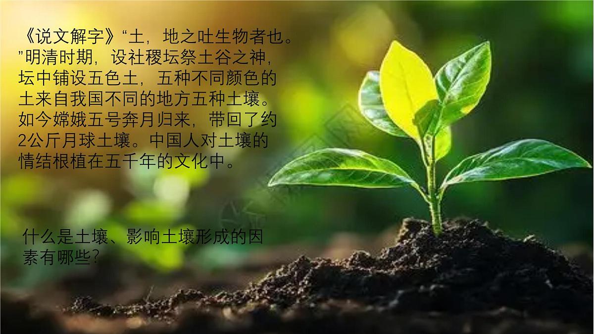 鲁教版（2019）高中地理必修第一册3.4分析土壤形成的原因课件第2页