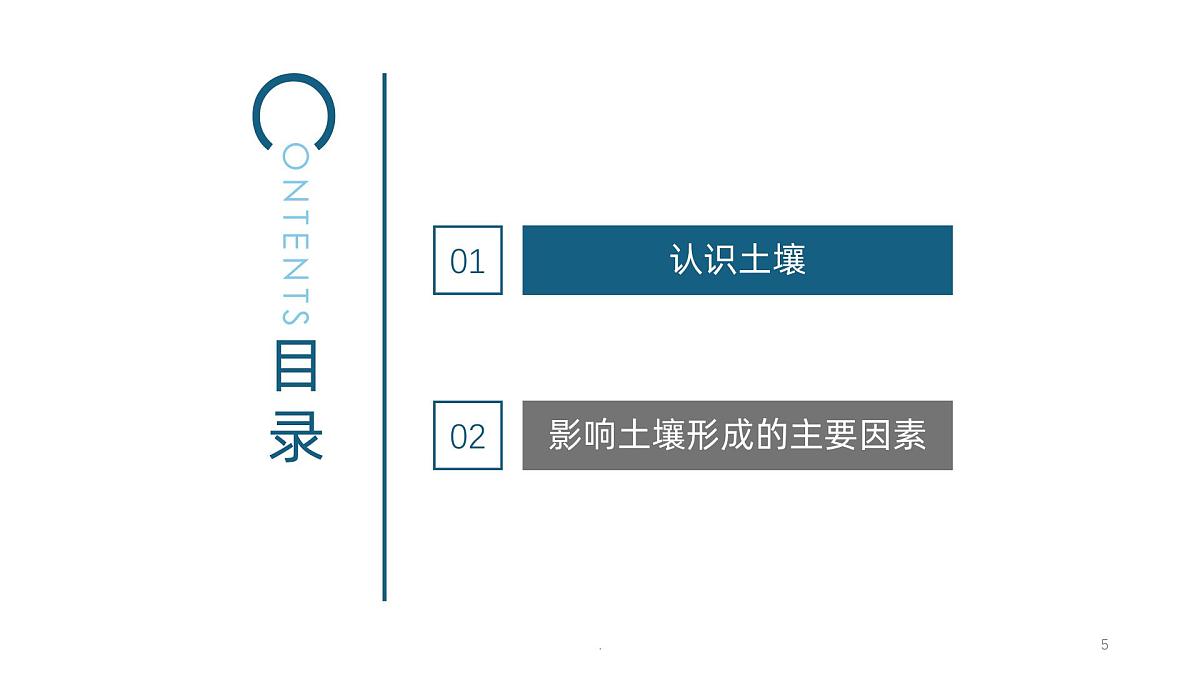 鲁教版（2019）高中地理必修第一册3.4分析土壤形成的原因课件第5页