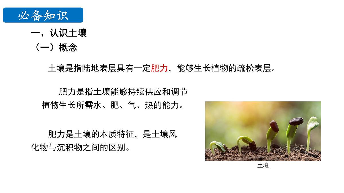 鲁教版（2019）高中地理必修第一册3.4分析土壤形成的原因课件第6页
