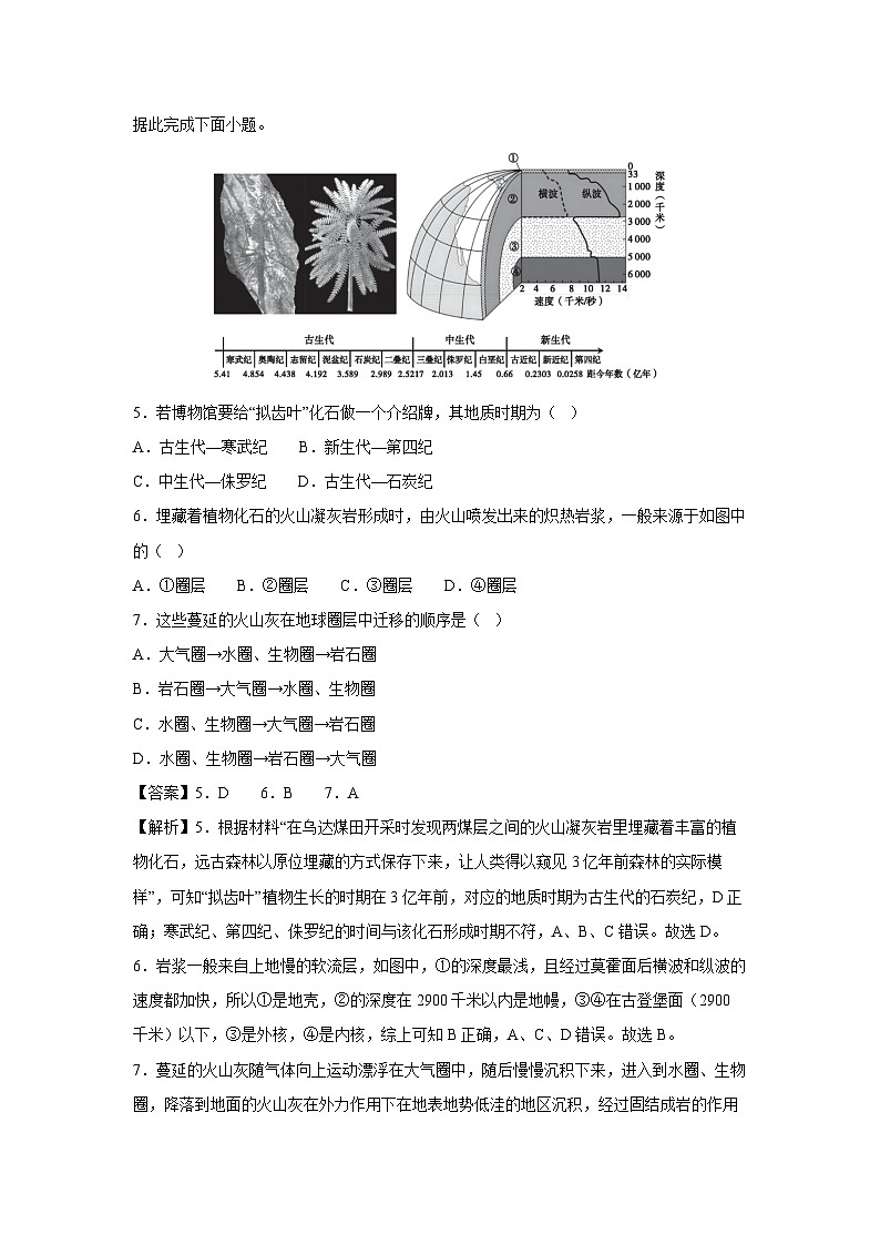 2025-2026学年高一上学期第一次月考（山东专用）地理试题（解析版）第3页