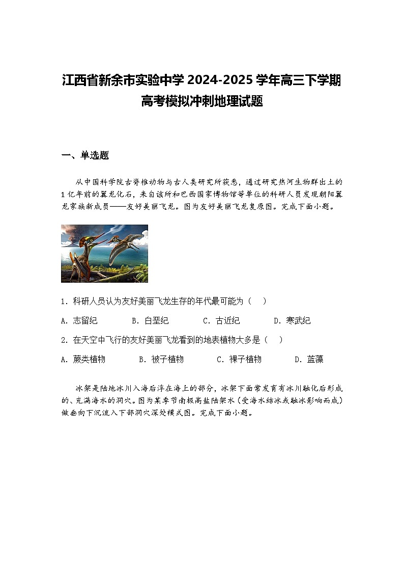 江西省新余市实验中学2024-2025学年高三下学期高考模拟冲刺地理试题（含答案解析）第1页
