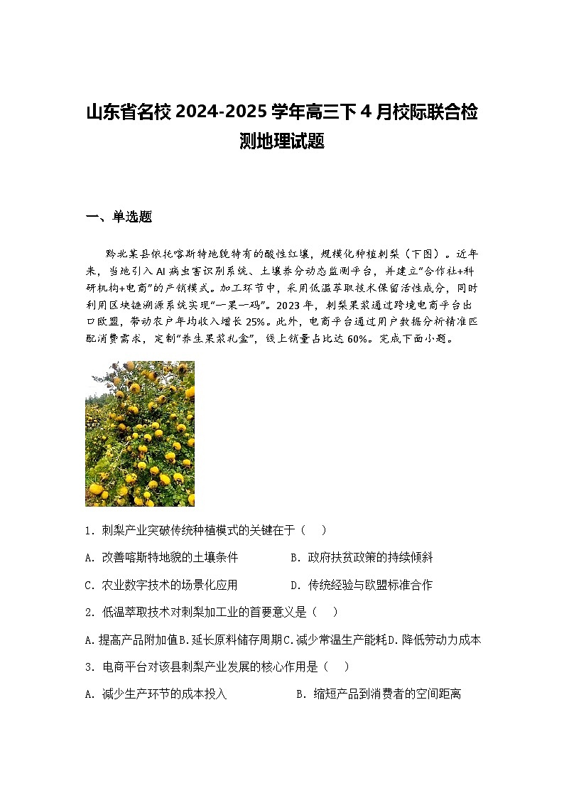 山东省名校2024-2025学年高三下4月校际联合检测地理试题（含答案解析）第1页