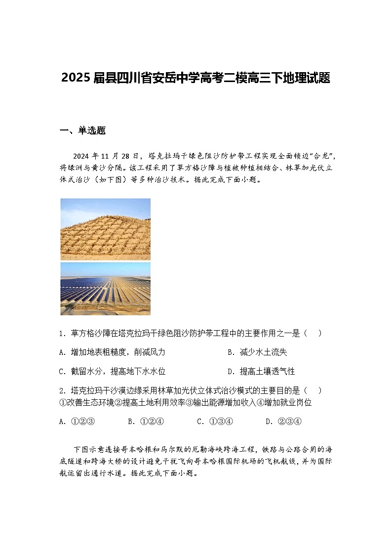 2025届县四川省安岳中学高考二模高三下地理试题（含答案解析）第1页