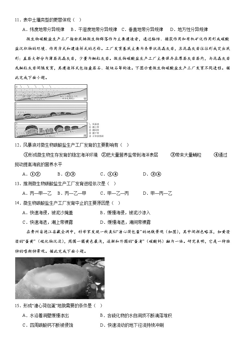 湘教版（2019）高中地理选择性必修1第五章 自然环境的整体性与差异性 章末测试卷（含答案解析）第3页