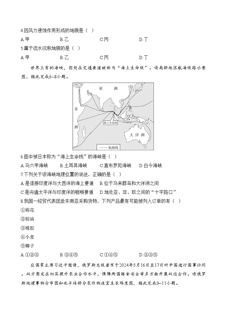 湖南省邵阳市第二中学2024-2025学年高一上学期开学摸底考试地理试卷+湘教版A卷第2页