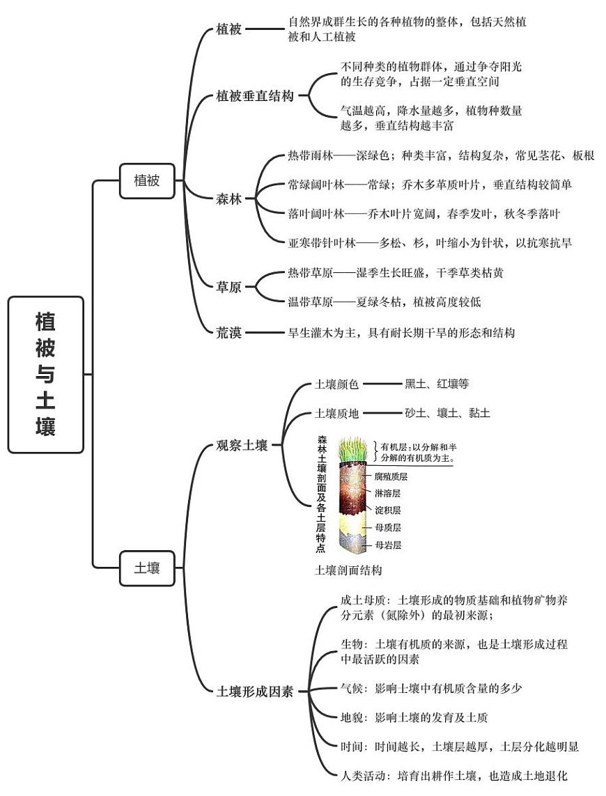 第五章植被与土壤——高一地理人教版（2019）必修一思维导图第1页