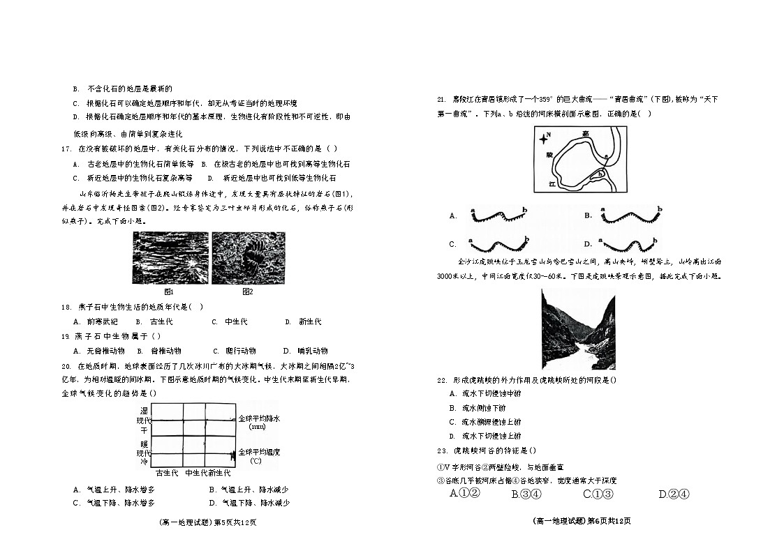 111地理第3页