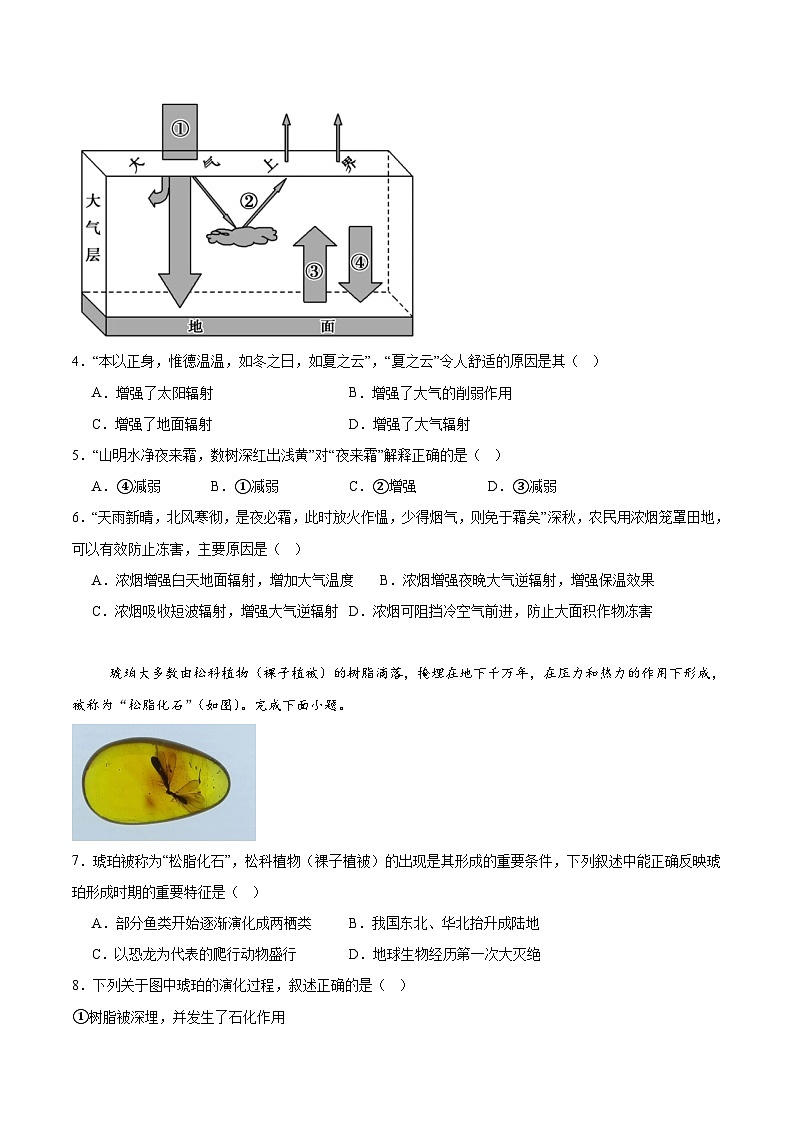 湖北省顶级名校2025-2026学年高一上学期12月月考试题 地理（含答案）第2页