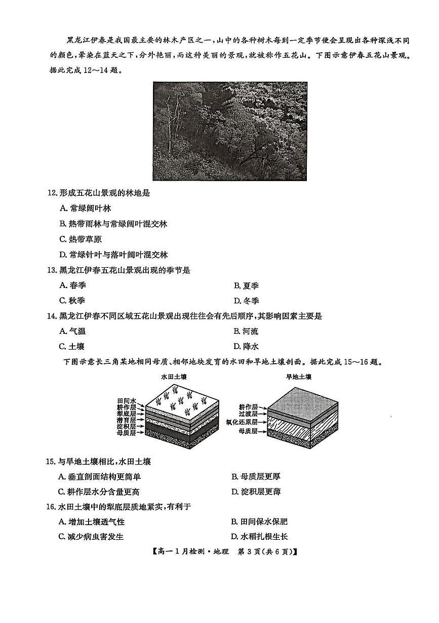 河南省洛阳市强基联盟2025-2026学年高一上学期1月检测地理试卷（含答案）第3页