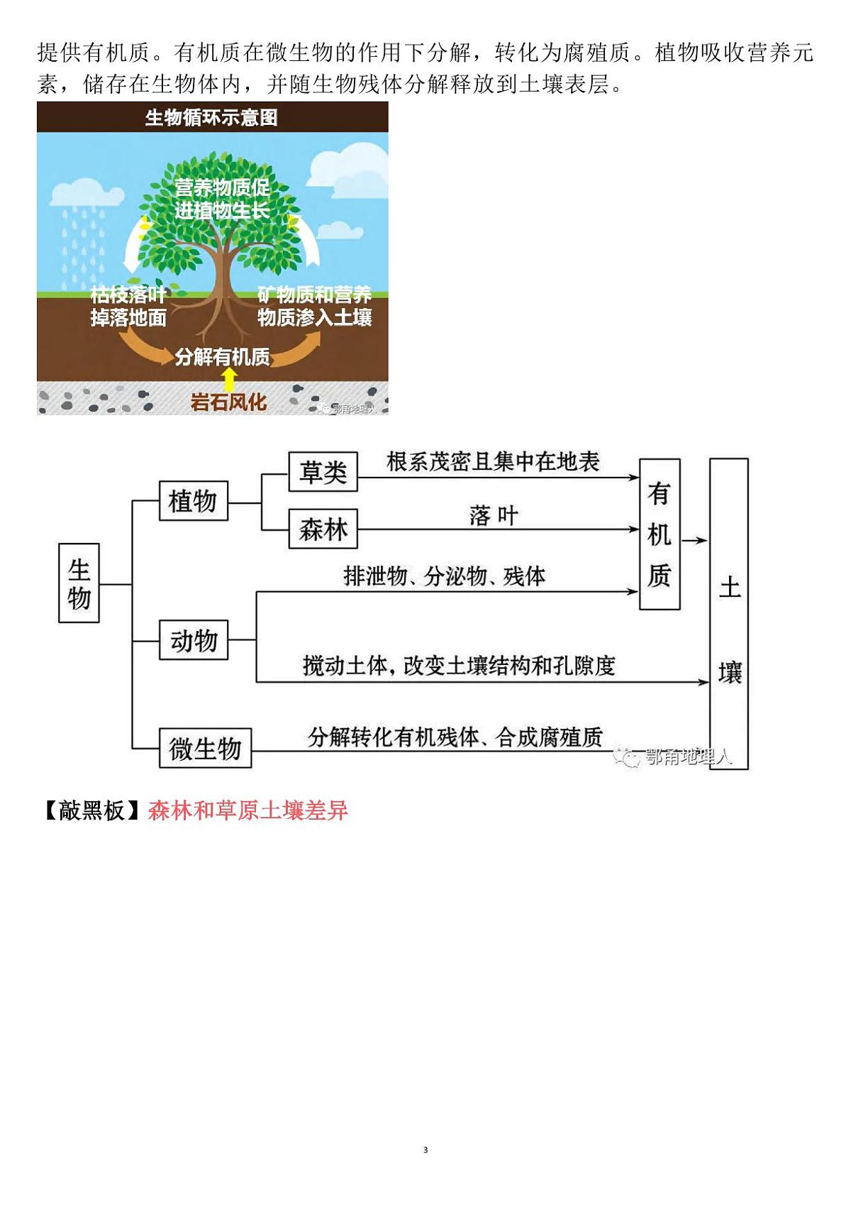 高考地理土壤大专题知识清单（共19页）第3页
