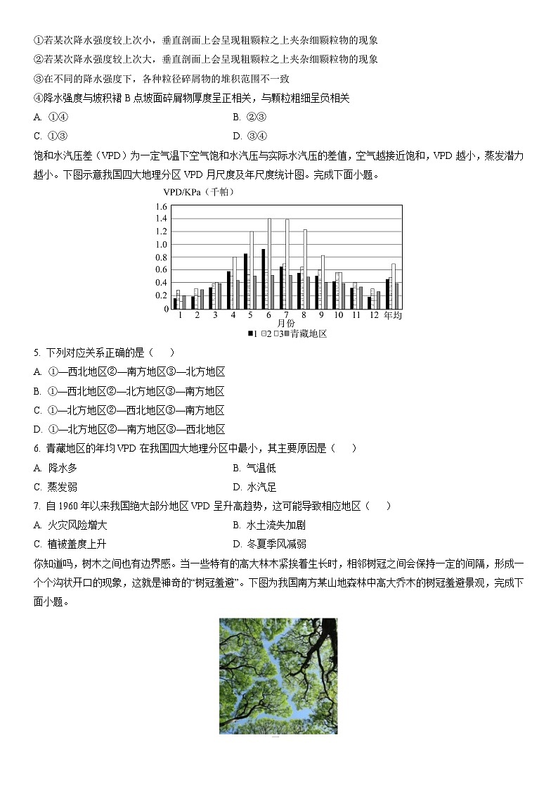 2024-2025学年江西省重点中学盟校高三下学期第一次联考地理试卷（学生版）第2页