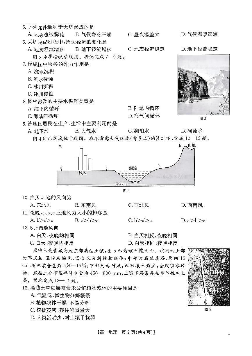 金太阳广东省2028届高一上学期1月期末联考248A地理试卷（含答案）第2页