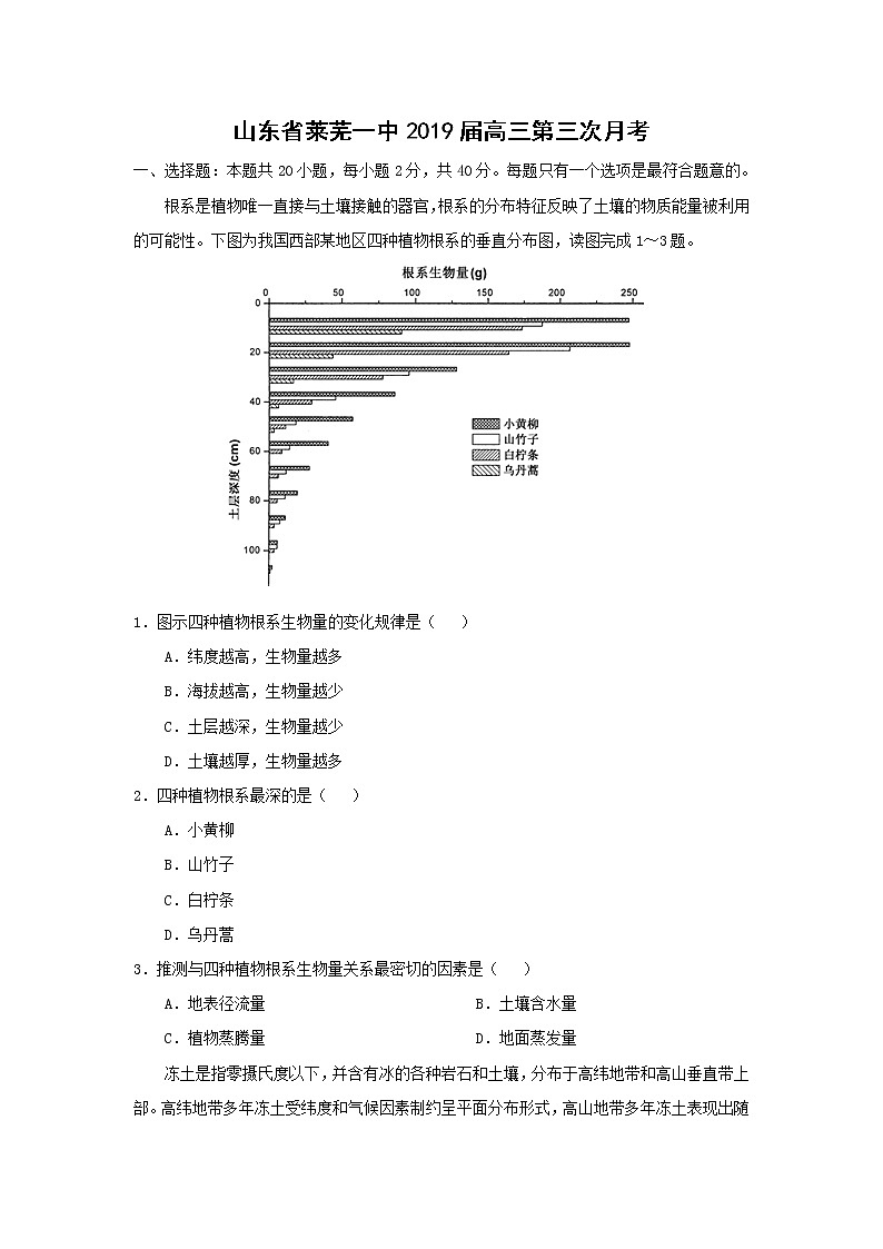 【地理】山东省莱芜一中2019届高三第三次月考 试卷01