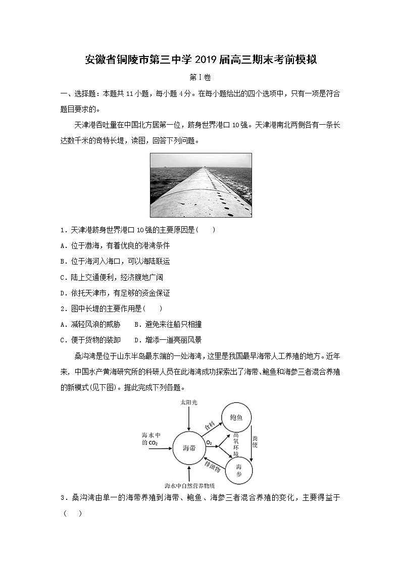 【地理】安徽省铜陵市第三中学2019届高三期末考前模拟（解析版）第1页