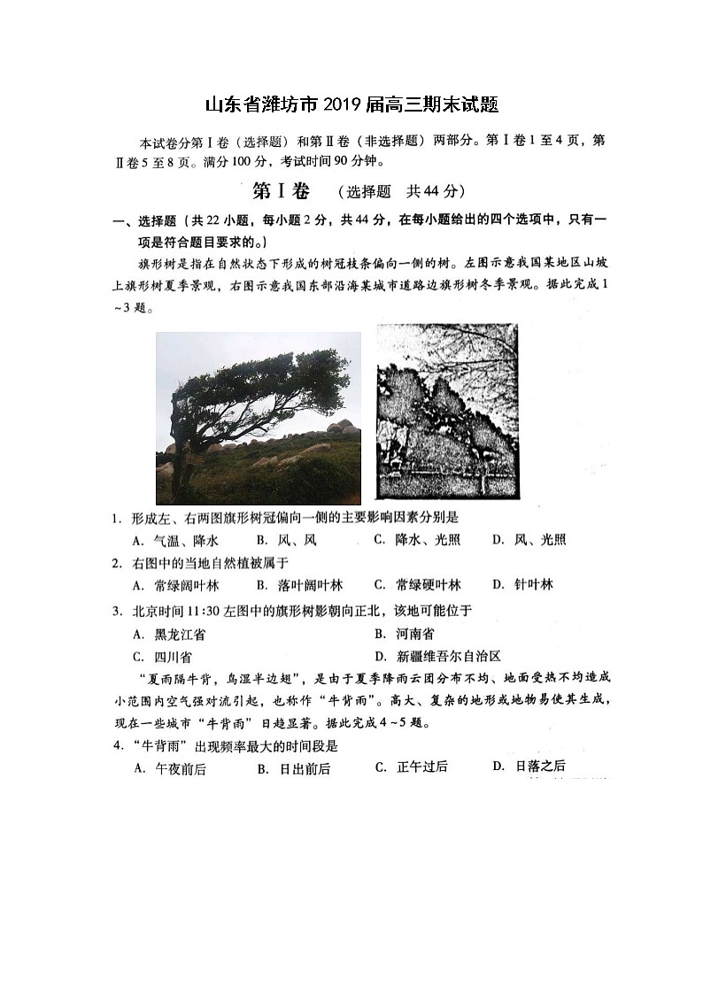 【地理】山东省潍坊市2019届高三期末试题第1页