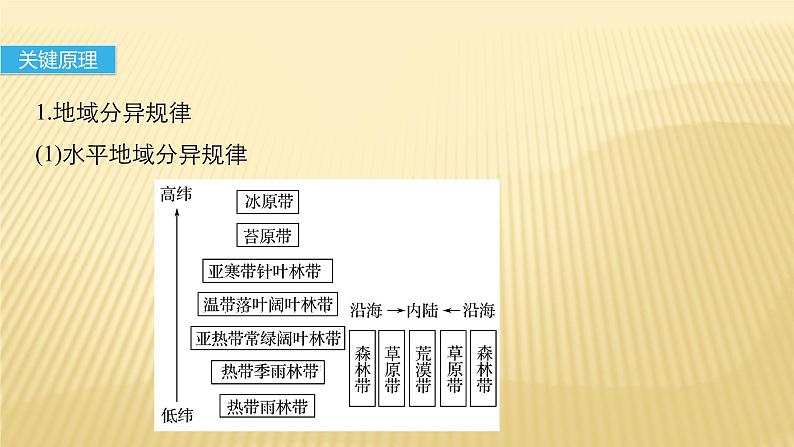 2019届二轮 复习 ：专题五 自然地理环境的整体性和差异性 常考点二  课件（29张）（全国通用）07