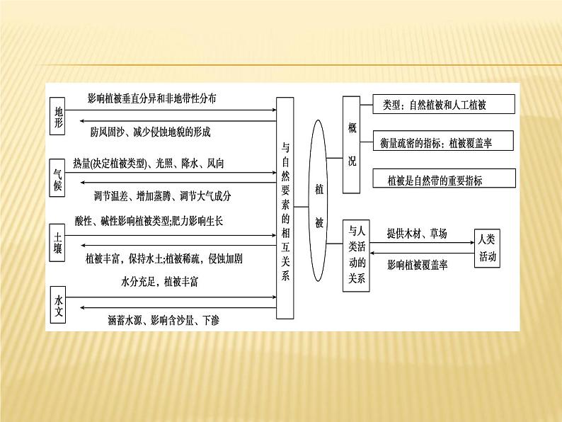 2019届 二轮复习 ：微专题 7 植被与地理环境的关系 课件（23张）（全国通用）第5页