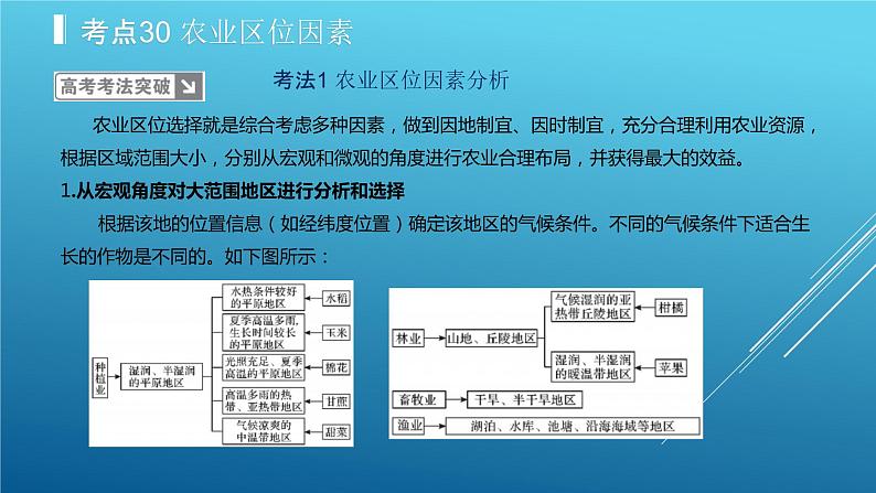 2020届  二轮复习：专题10 农业地域的形成与发展 课件（40张）（全国通用）06