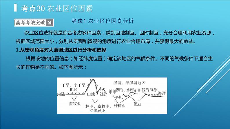 2020届  二轮复习：专题10 农业地域的形成与发展 课件（40张）（全国通用）07