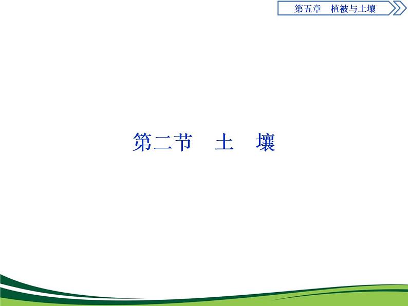 （新）人教版高中地理必修第一册教学课件：5.2 土壤01