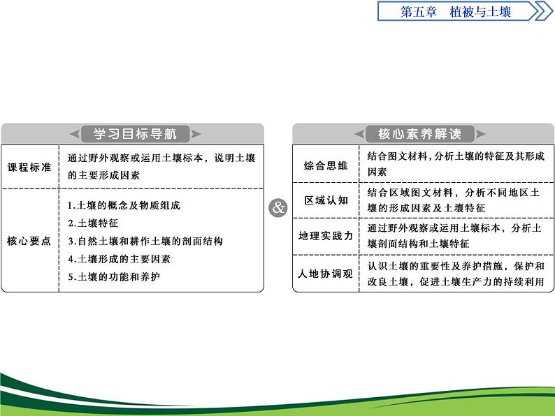 （新）人教版高中地理必修第一册教学课件：5.2 土壤02