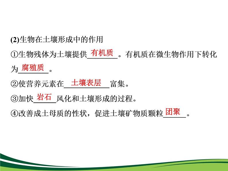 （新）人教版高中地理必修第一册教学课件：5.2 土壤06