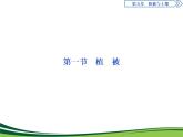 （新）人教版高中地理必修第一册教学课件：5.1 植被