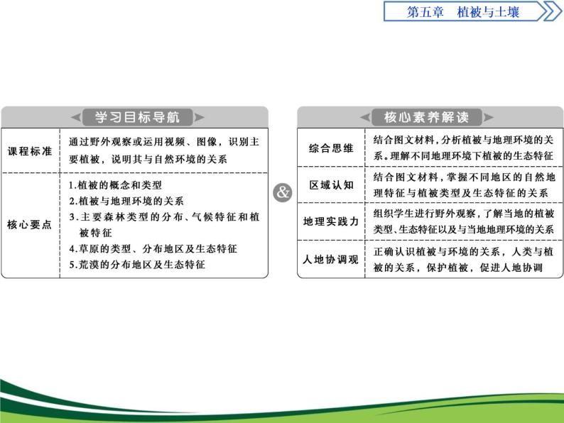 （新）人教版高中地理必修第一册教学课件：5.1 植被02