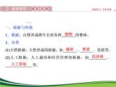 （新）人教版高中地理必修第一册教学课件：5.1 植被