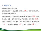 （新）人教版高中地理必修第一册教学课件：5.1 植被