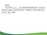 （新）人教版高中地理选择性必修1课件：2.2 构造地貌的形成