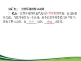 （新）人教版高中地理选择性必修1课件：5.1 自然环境的整体性