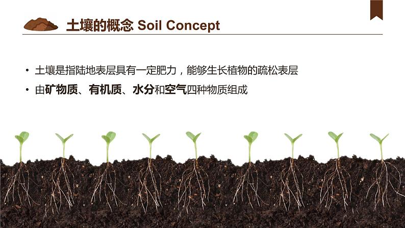 5.2土壤 课件（含视频素材）04