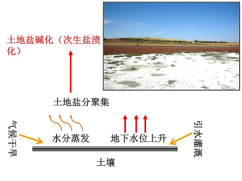 人教版高中地理必修三：2.1荒漠化的防治--以我国西北地区为例课件05