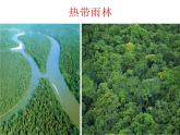 人教版高中地理必修三：2.2森林的开发和保护——以亚马孙热带雨林为例课件