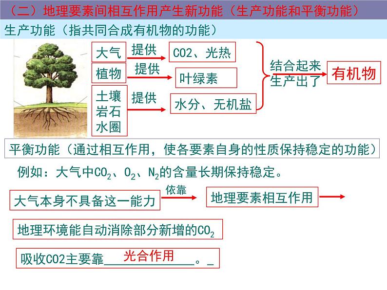 5.1自然地理环境的整体性 -人教版必修一高中地理课件04