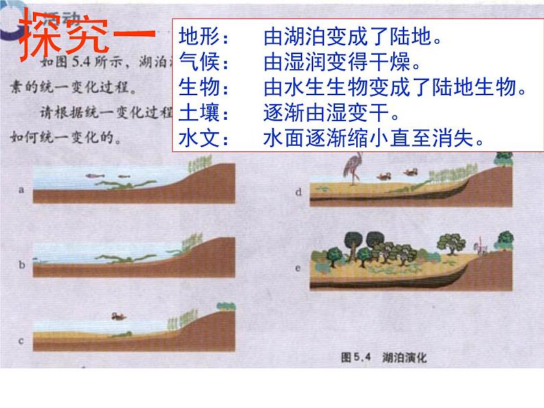 5.1自然地理环境的整体性 -人教版必修一高中地理课件07