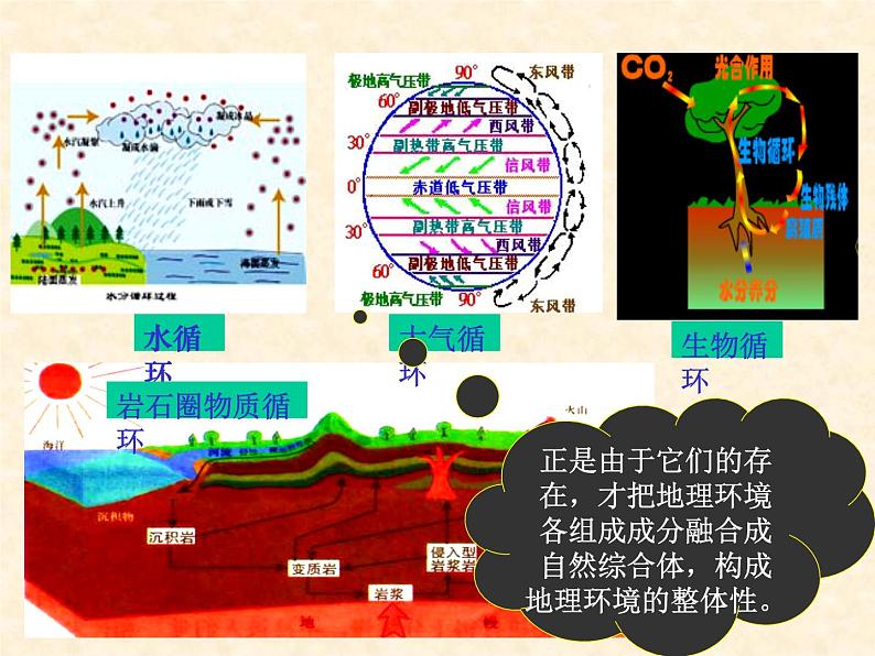 5.1 自然地理环境的整体性 -人教版必修一高中地理 课件04