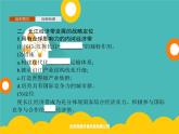 2020春新教材高中地理鲁教版必修第二册课件：第四单元　第二节　长江经济带发展战略