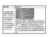 （新教材）2020地理新学案同步鲁教第二册（课件+优练）：第一单元 　单元活动　学用专题地图 (共3份打包)